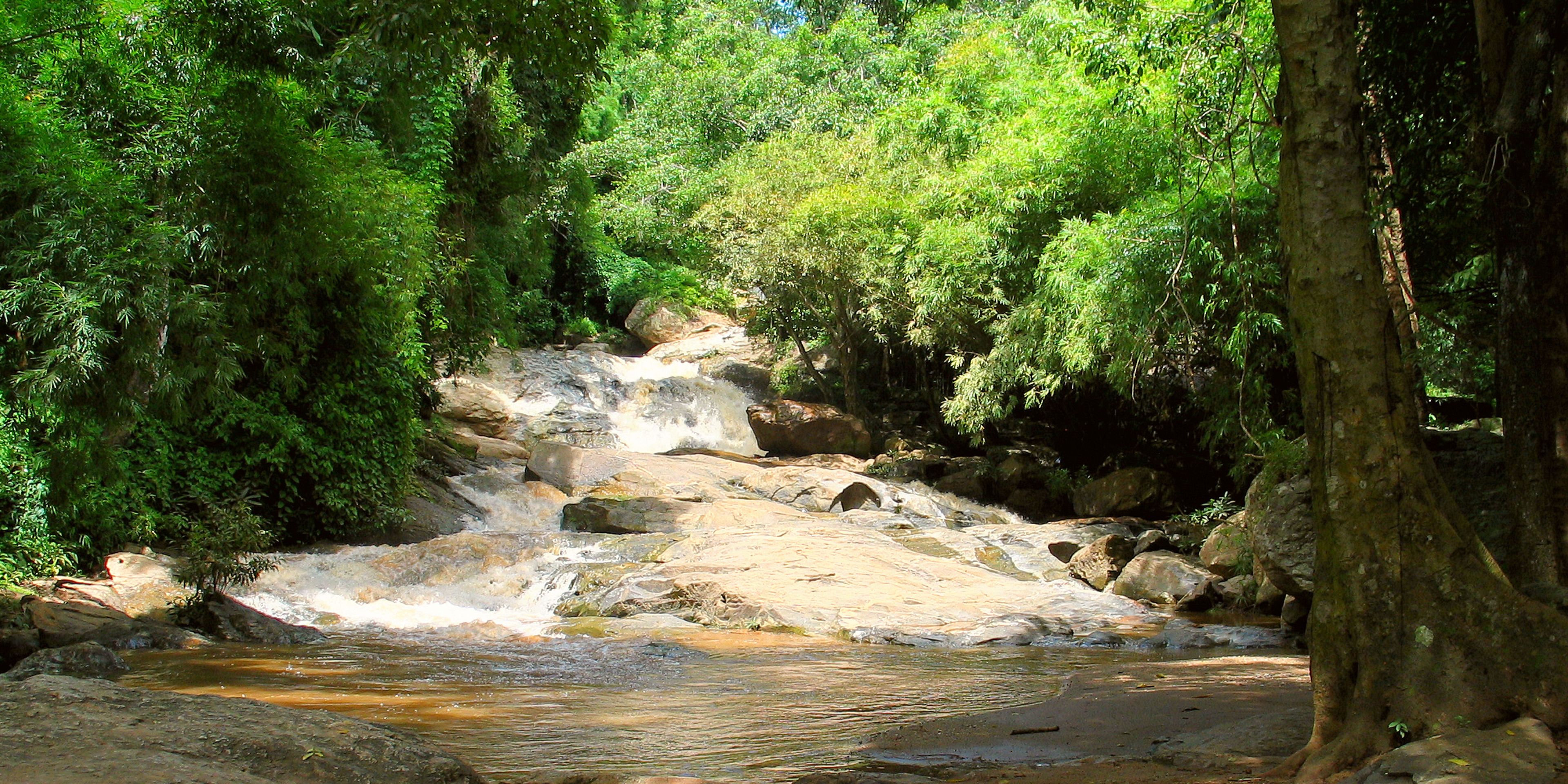Hotels near Doi Pui Summit Trail
