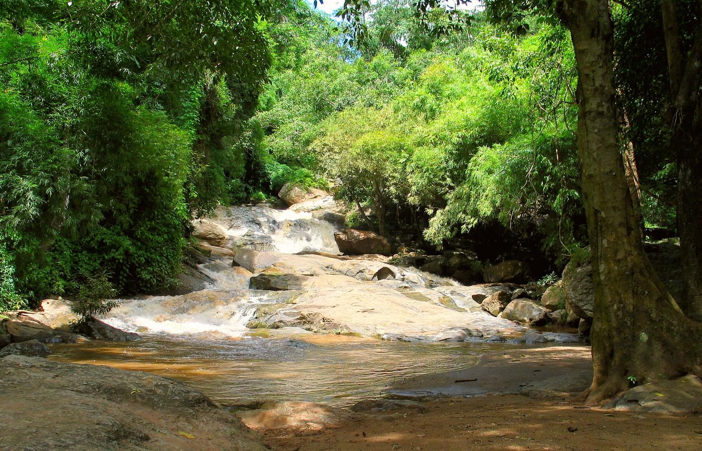 Doi Pui Summit Trail - The Highest Point in Doi Suthep-Pui National Park