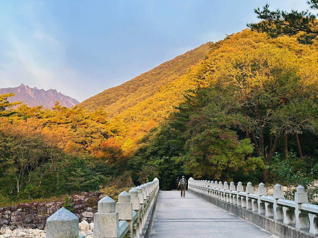 Seoraksan National Park - Korea's Earliest Autumn Colour
