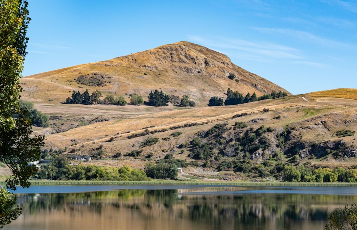 Lake Hayes Loop Track - A Flat 8 km Circuit With Five Ways to Cut It Short