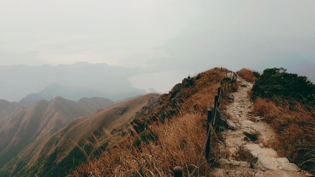 Dragon's Back - The Ridge Walk That Defines Hiking in Hong Kong