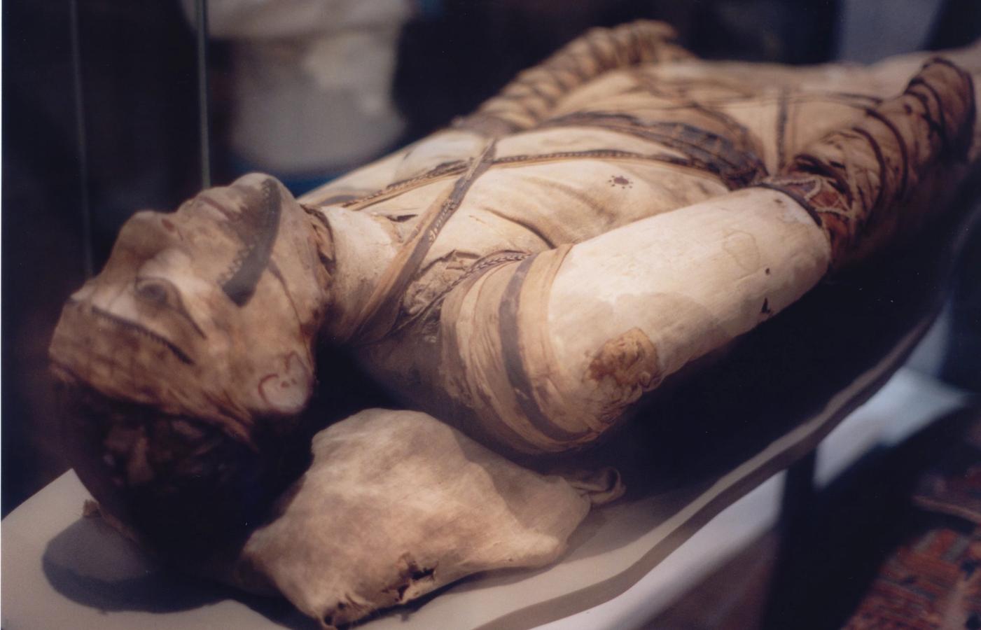 Mummification Museum - Embalming science up close