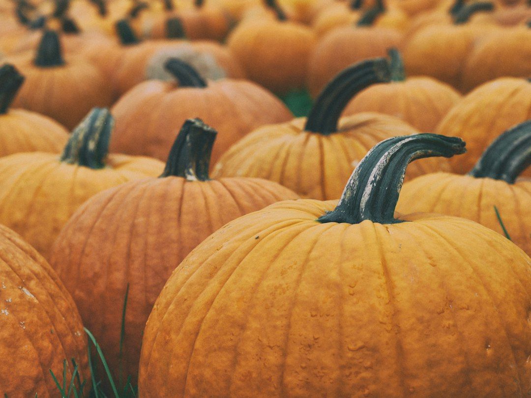 Naschmarkt - Pumpkin Seed Oil and Chanterelle Season