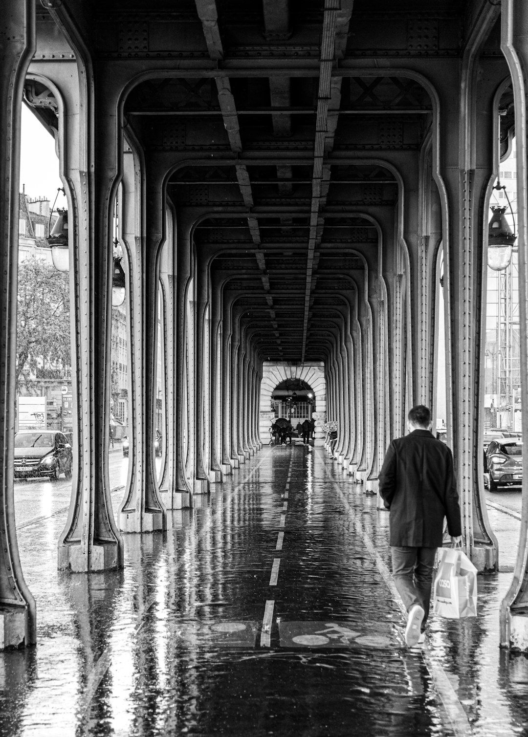 The Covered Passages - Nineteenth-Century Arcades for a Wet Day