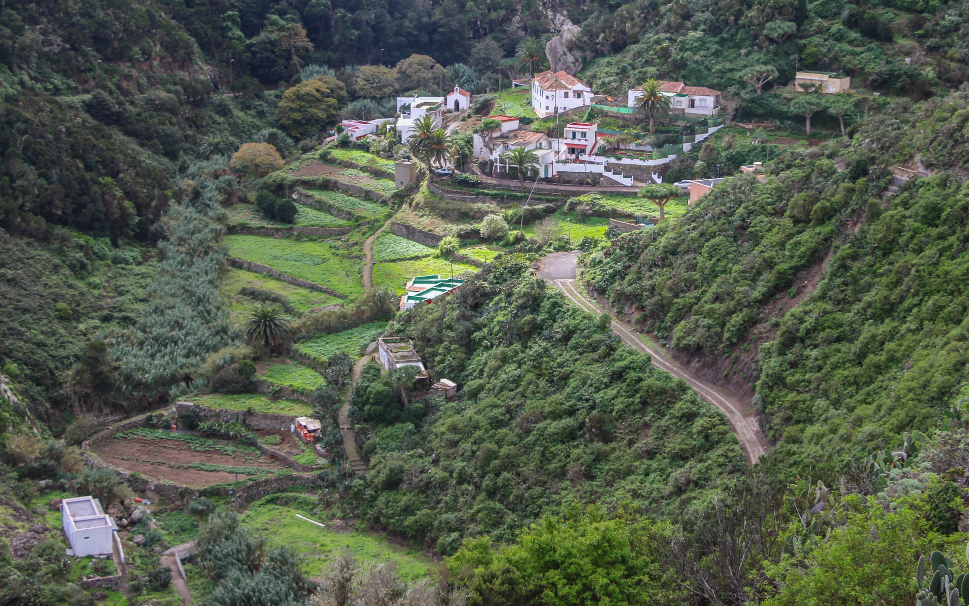 Anaga Rural Park - Chinamada to Punta del Hidalgo Through Cloud Forest