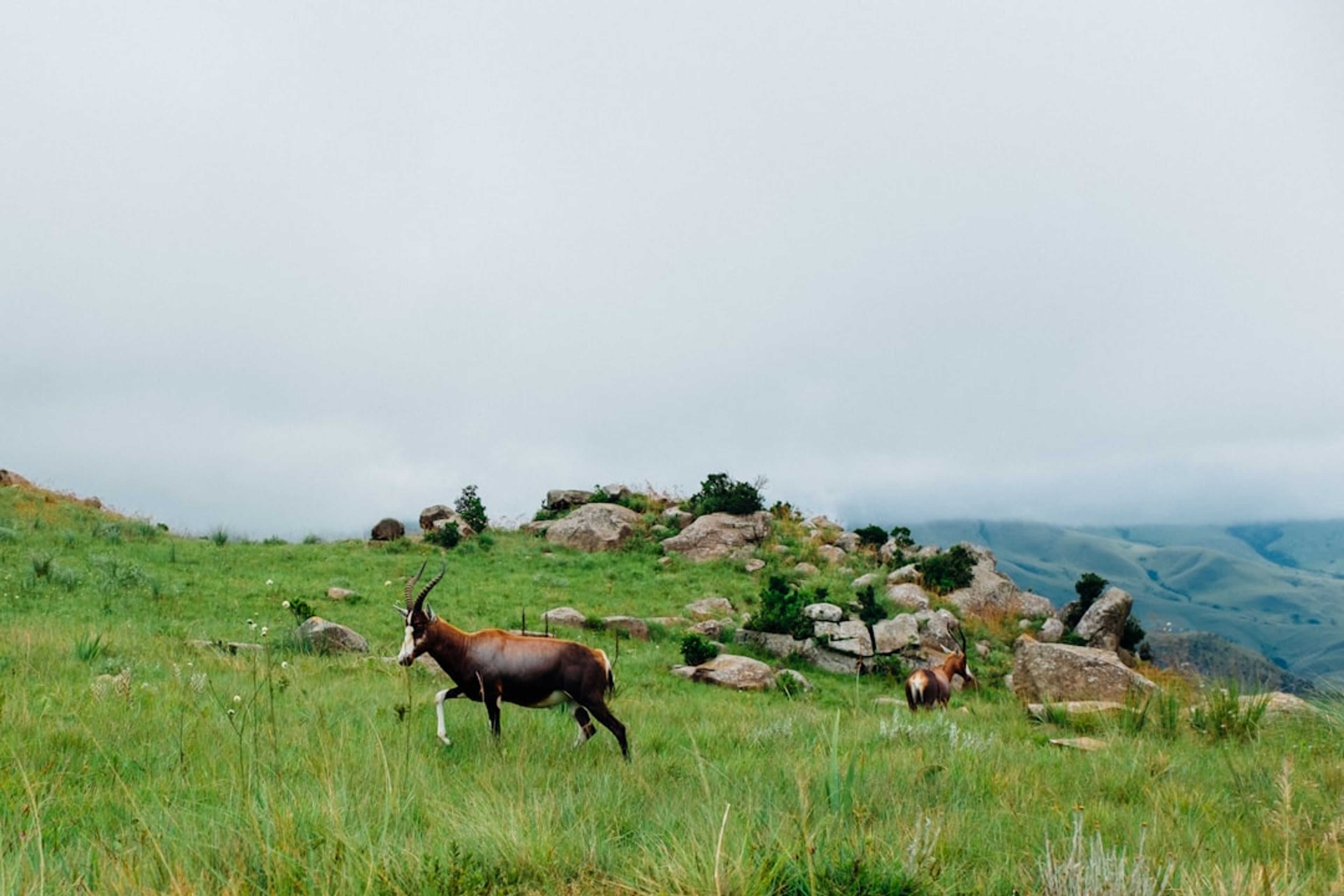 Eswatini