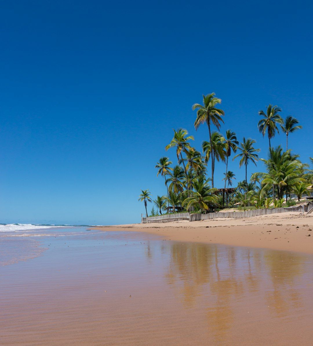 Vai Palm Beach