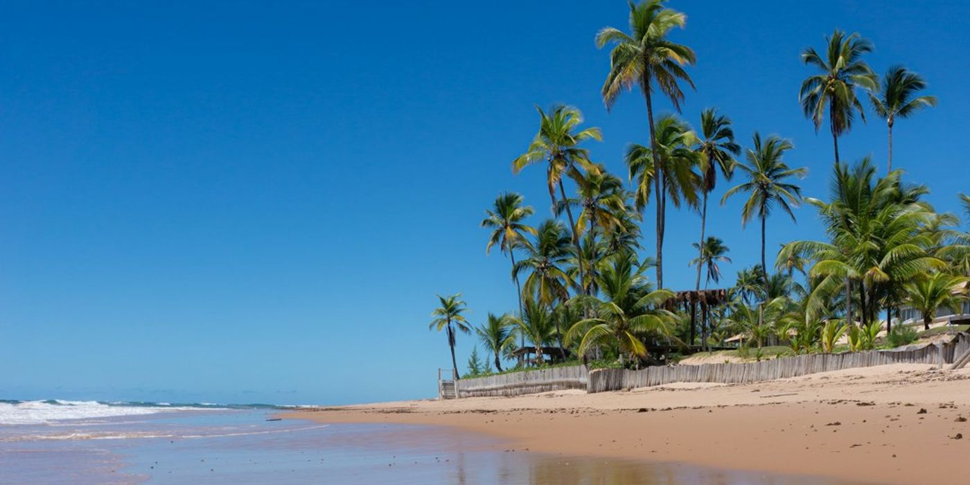 Hotels near Vai Palm Beach