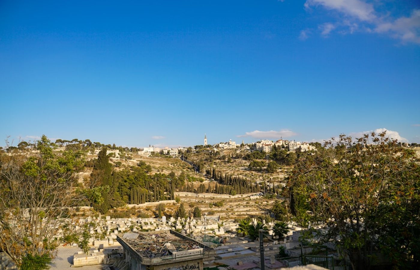 Mount of Olives - The Sacred Cemetery Hill