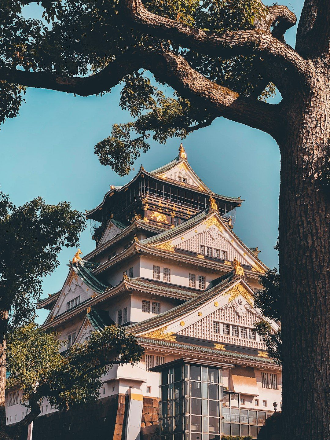 Osaka Castle - The Restored Stronghold of Toyotomi Hideyoshi