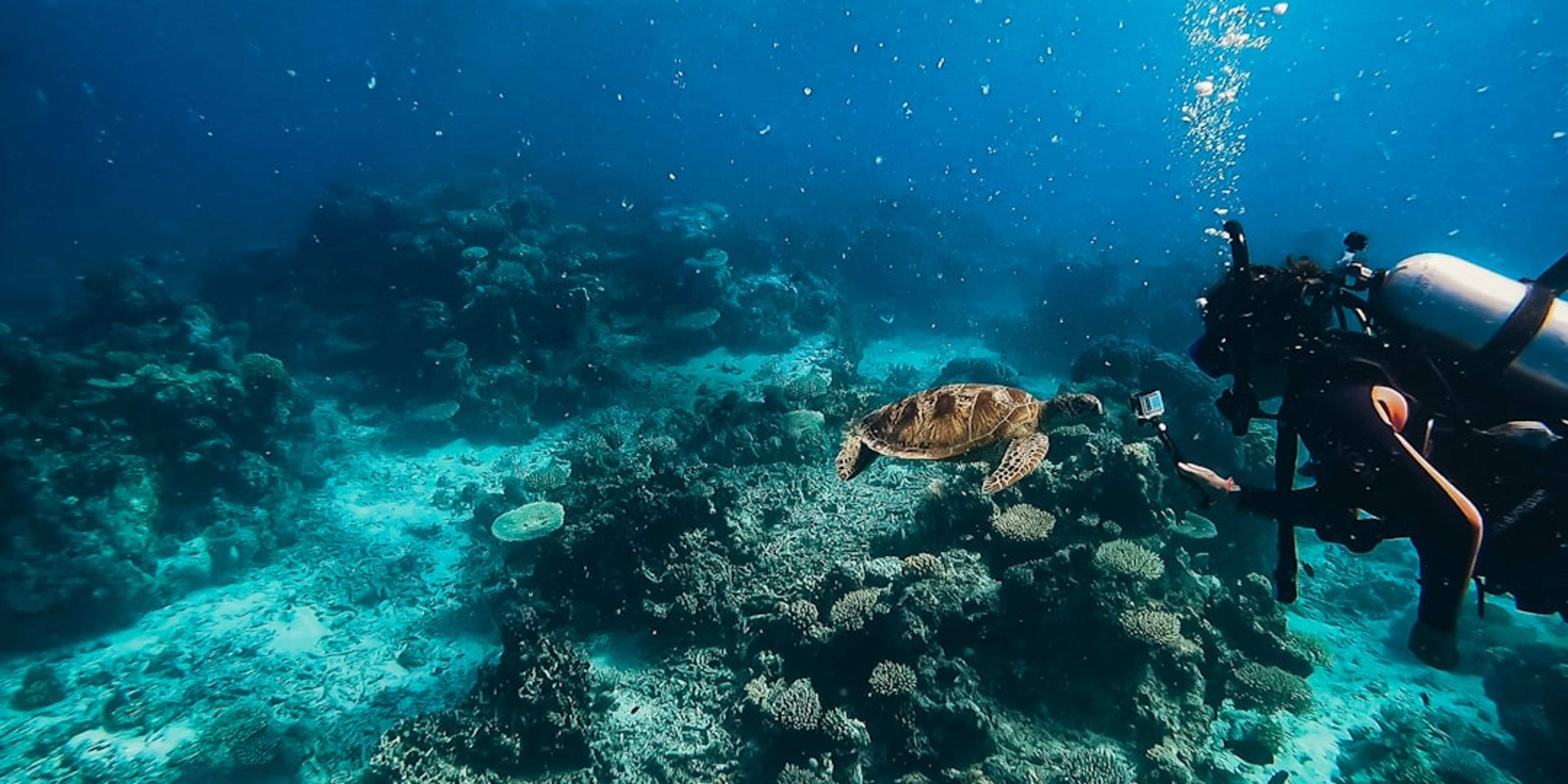 Hotels near Great Barrier Reef from Cairns