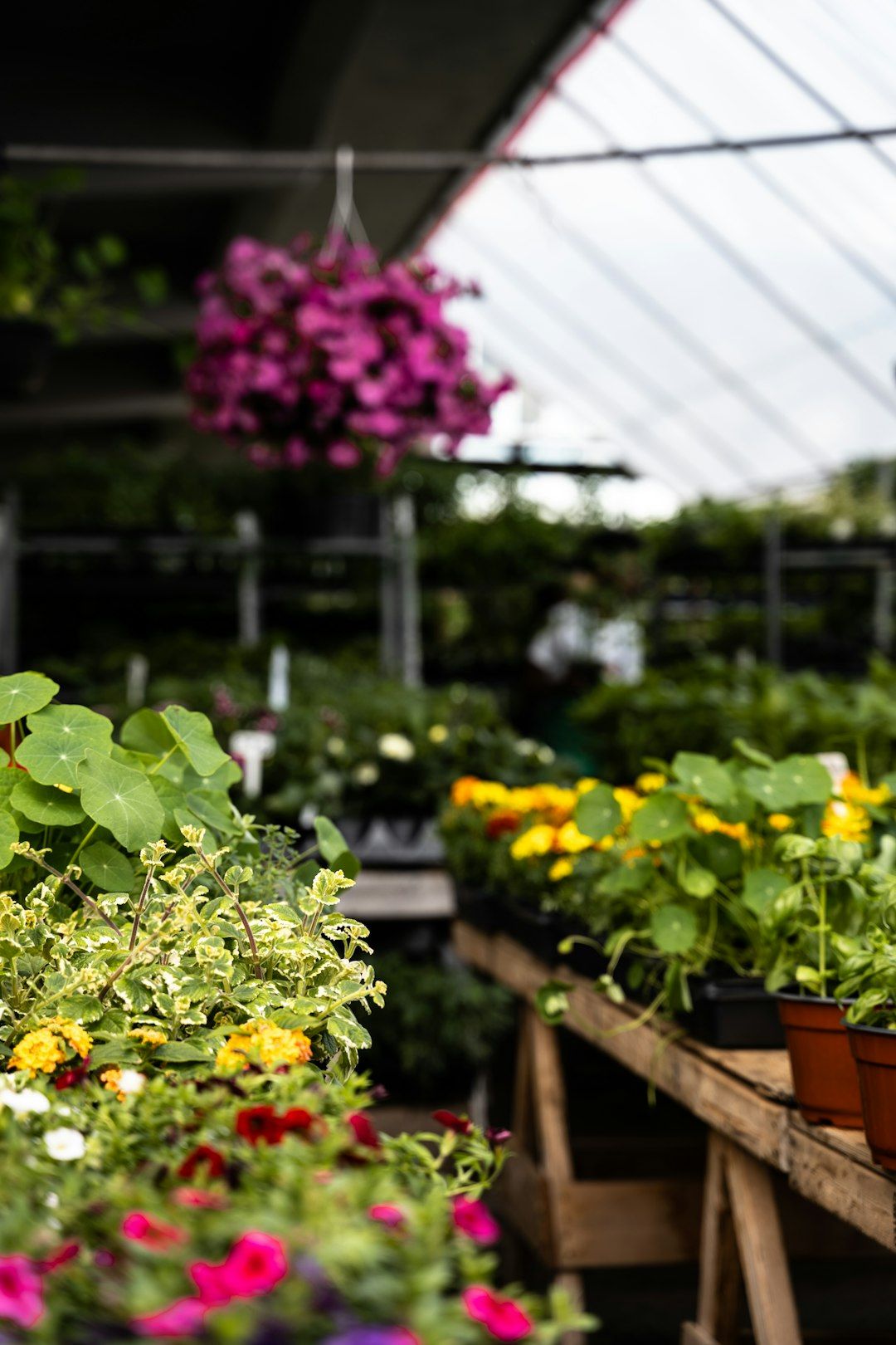Jean-Talon Market - North America's Largest Open-Air Market
