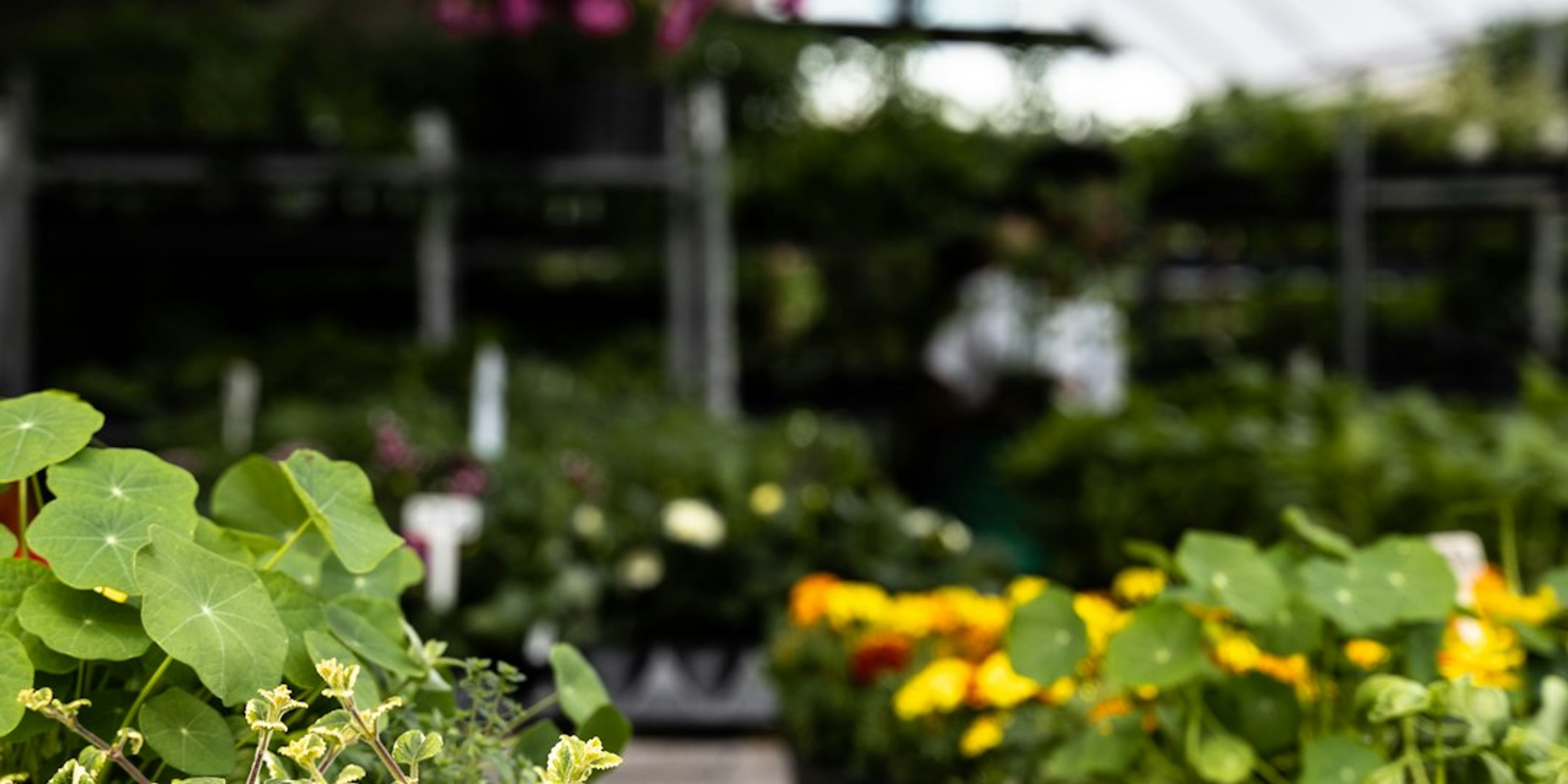 Hotels near Jean-Talon Market