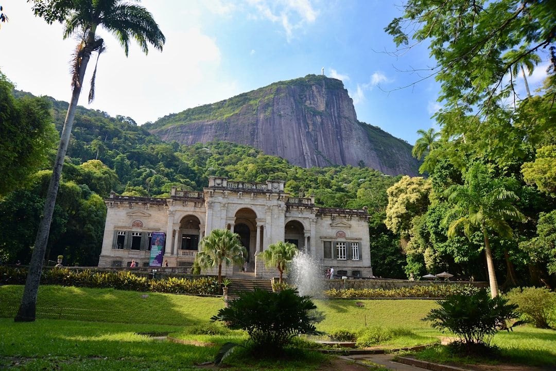 Tijuca National Park - The Urban Rainforest Above the City