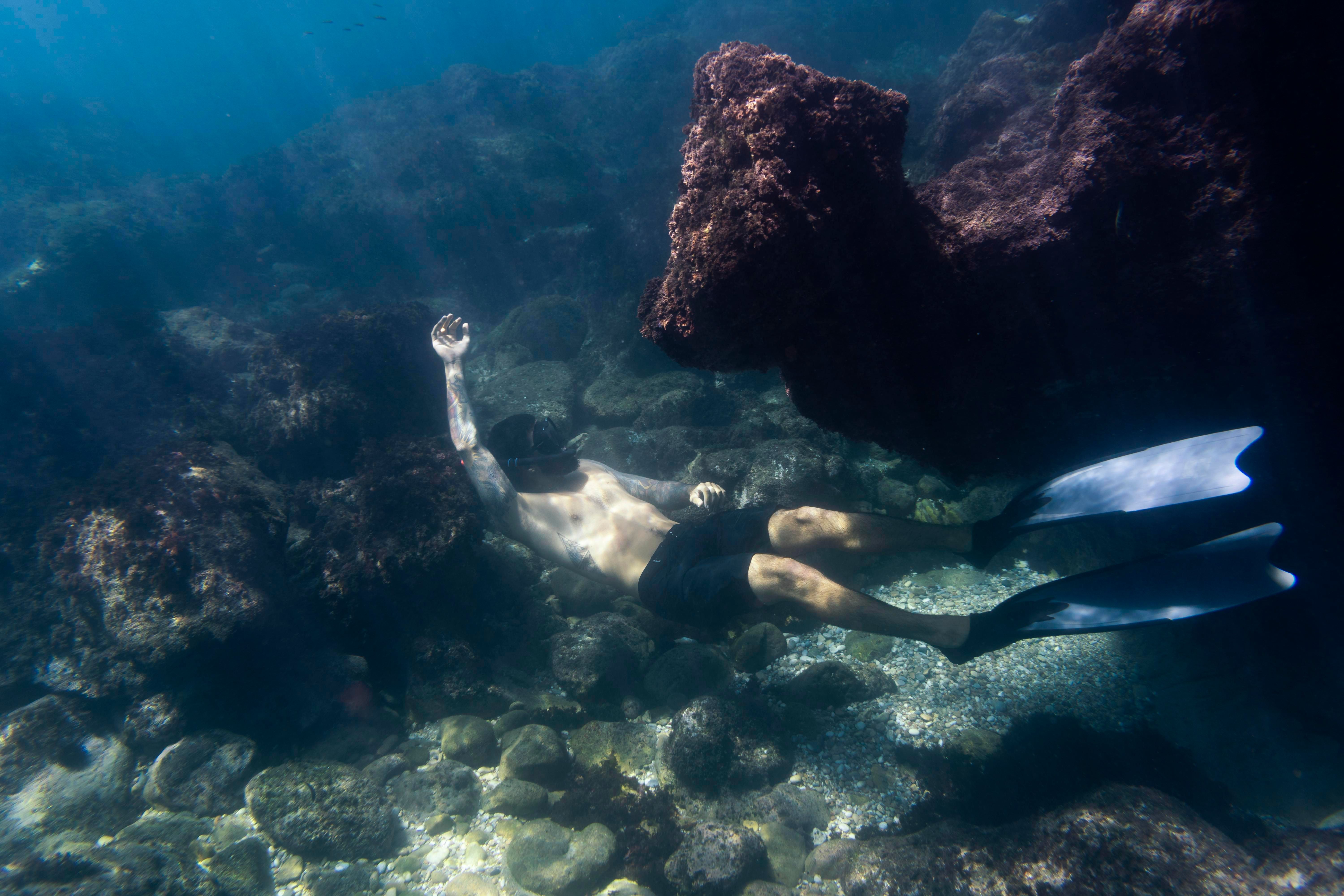 Sharks Bay - Snorkelling Without a Boat