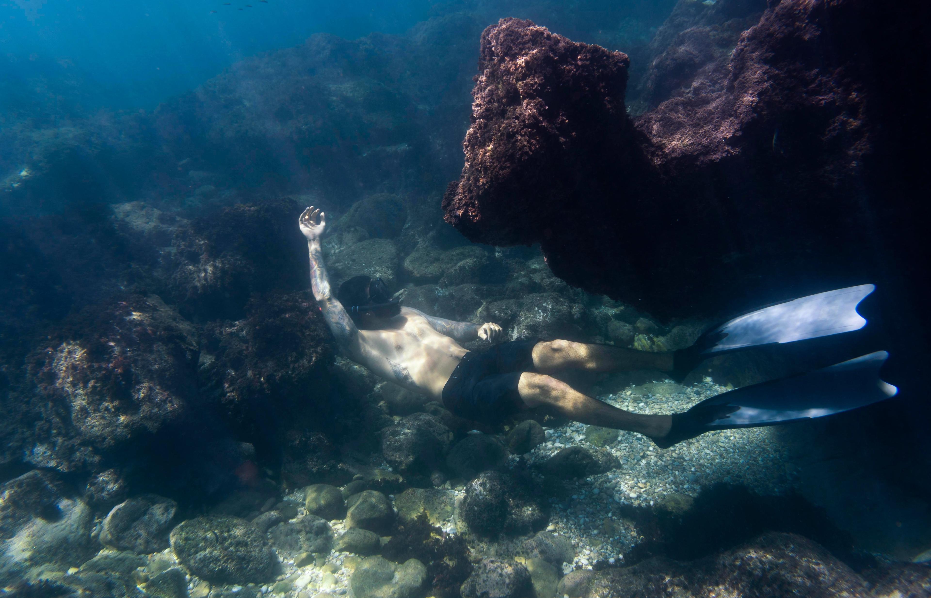 Sharks Bay - Snorkelling Without a Boat