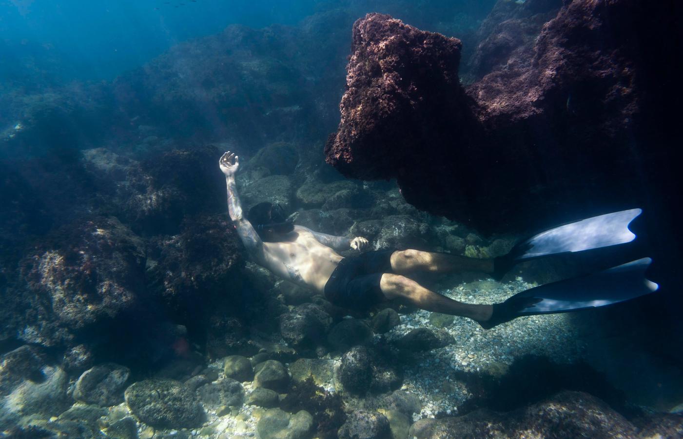 Sharks Bay - Snorkelling Without a Boat
