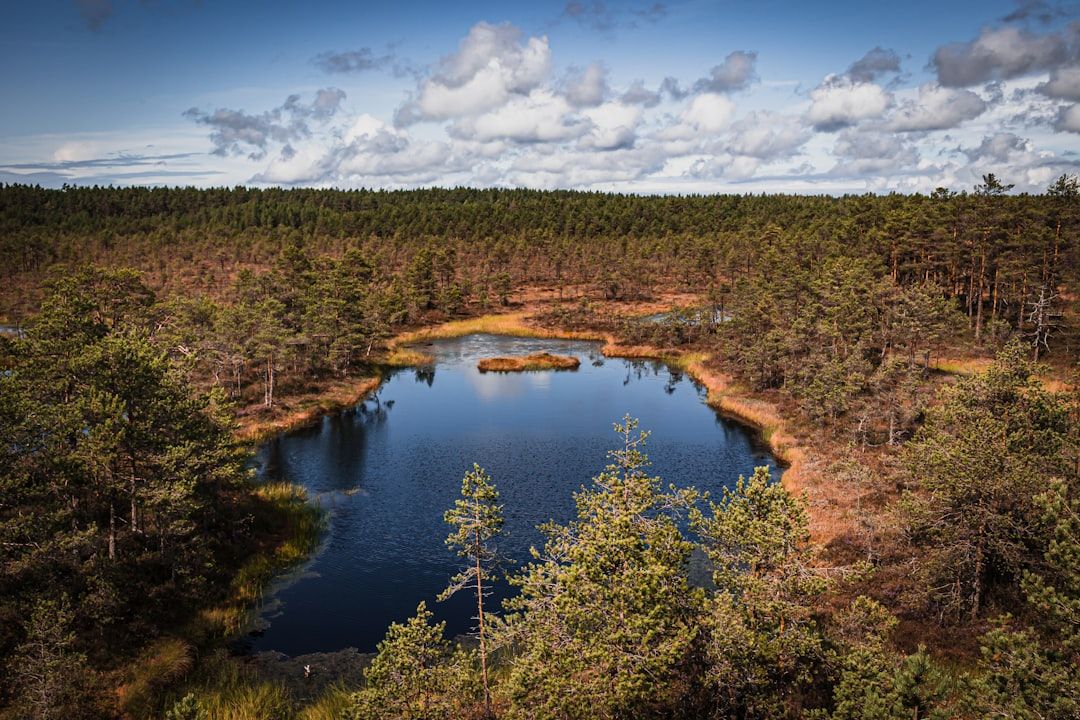 Lahemaa National Park - The Coastal Day Trip East of Tallinn