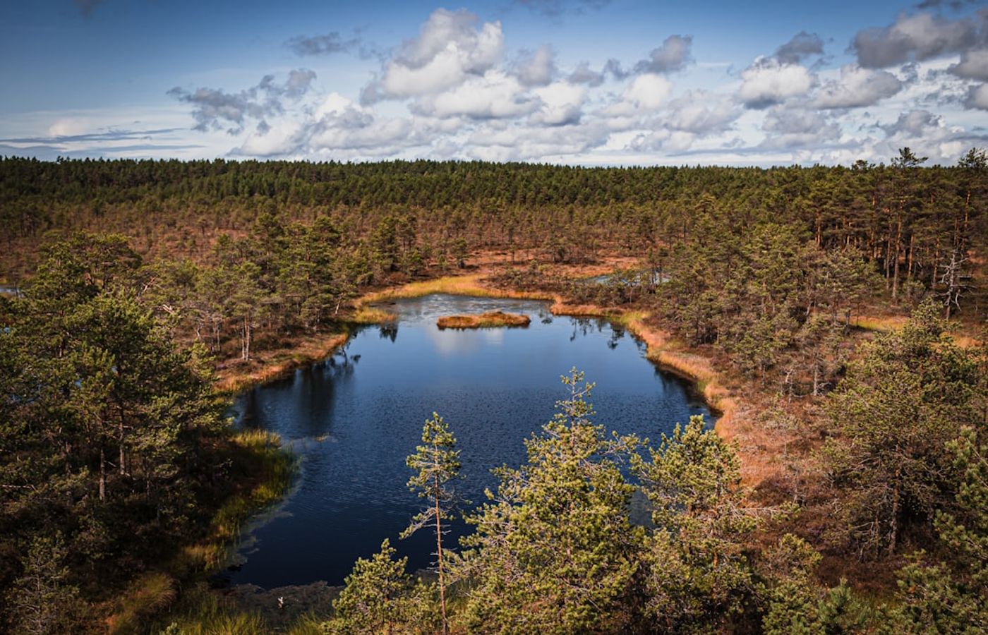 Lahemaa National Park - The Coastal Day Trip East of Tallinn