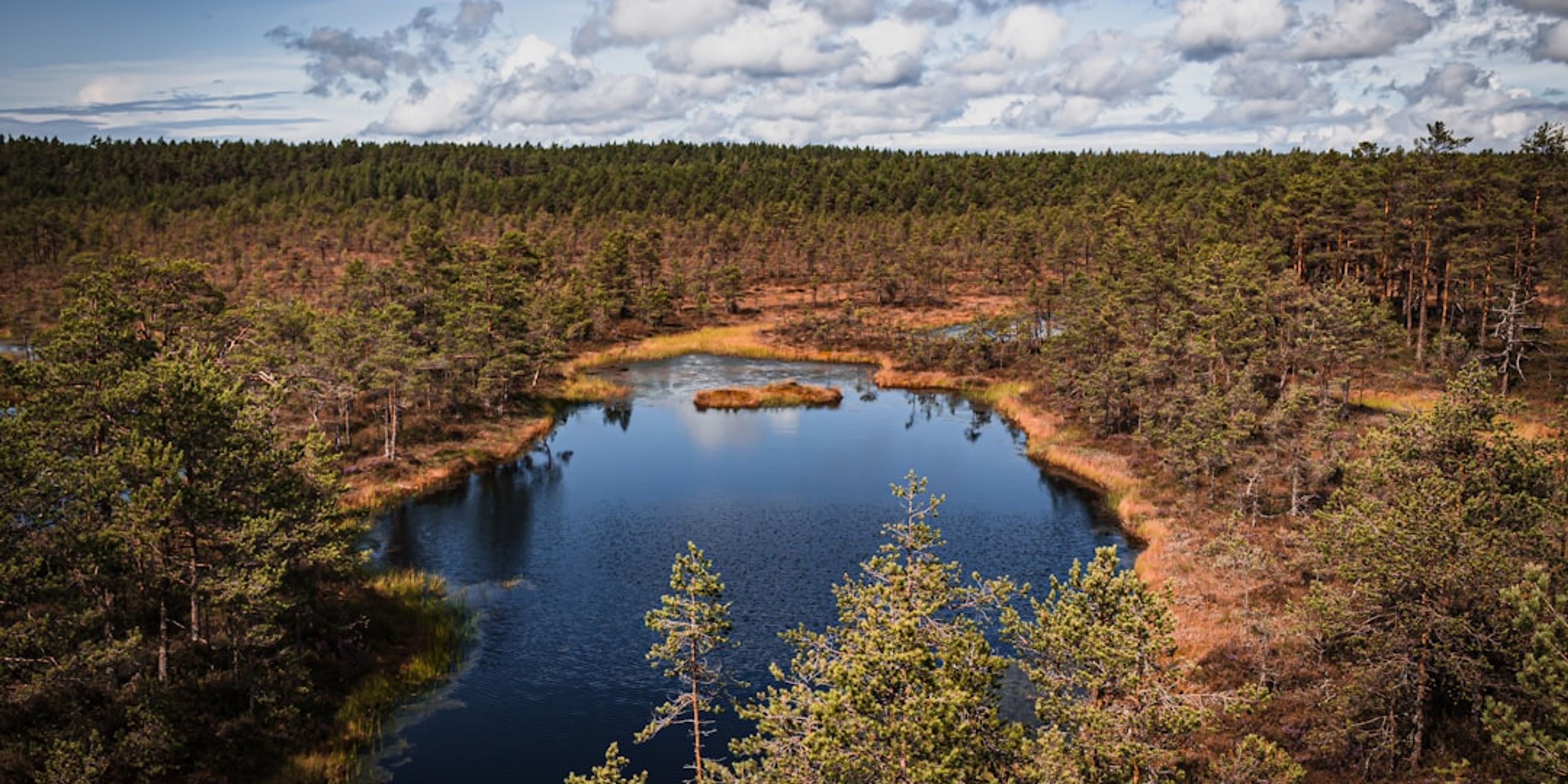 Hotels near Lahemaa National Park