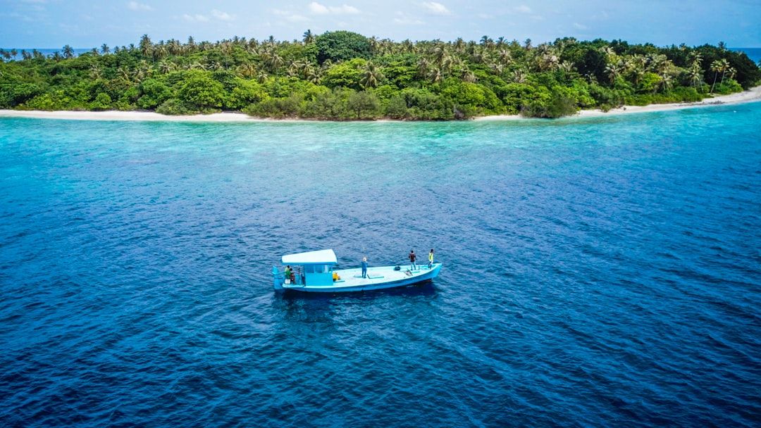 Boat tour around the island