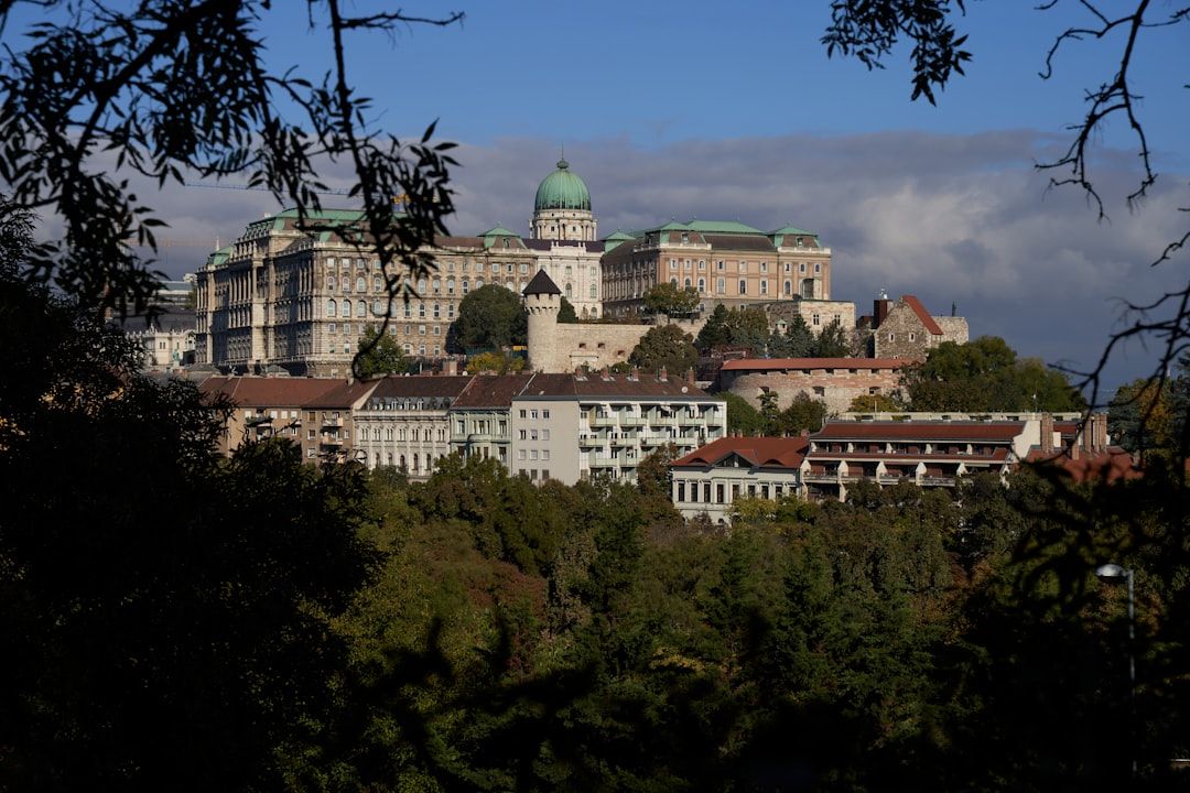 Buda Castle - The Historic Heart of the Castle District