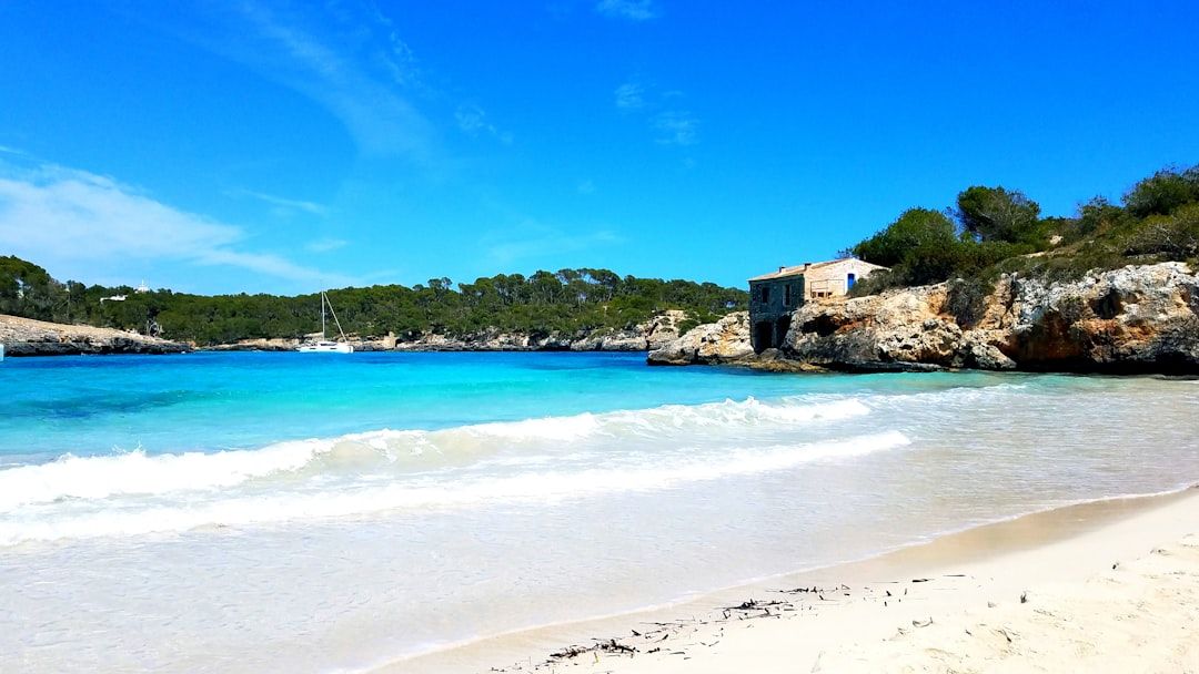 Cala Salada and Cala Saladeta - The Secluded Pine-Fringed Coves
