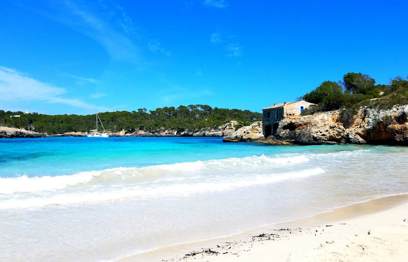 Cala Salada and Cala Saladeta - The Secluded Pine-Fringed Coves