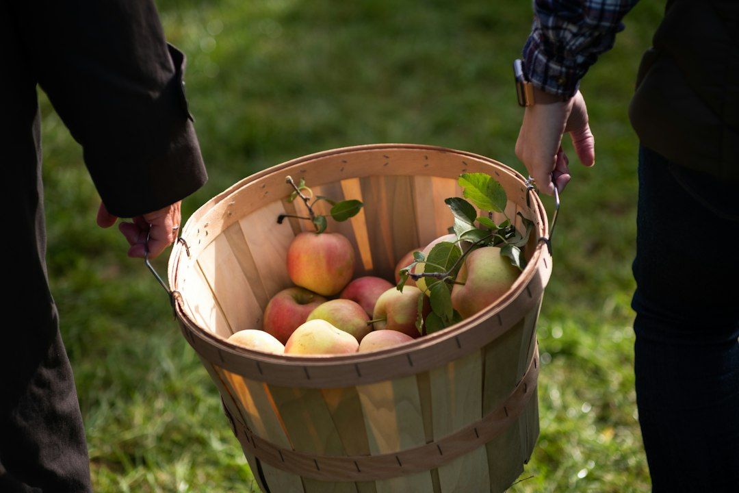 Julian - Apple Pie Season in the Mountains