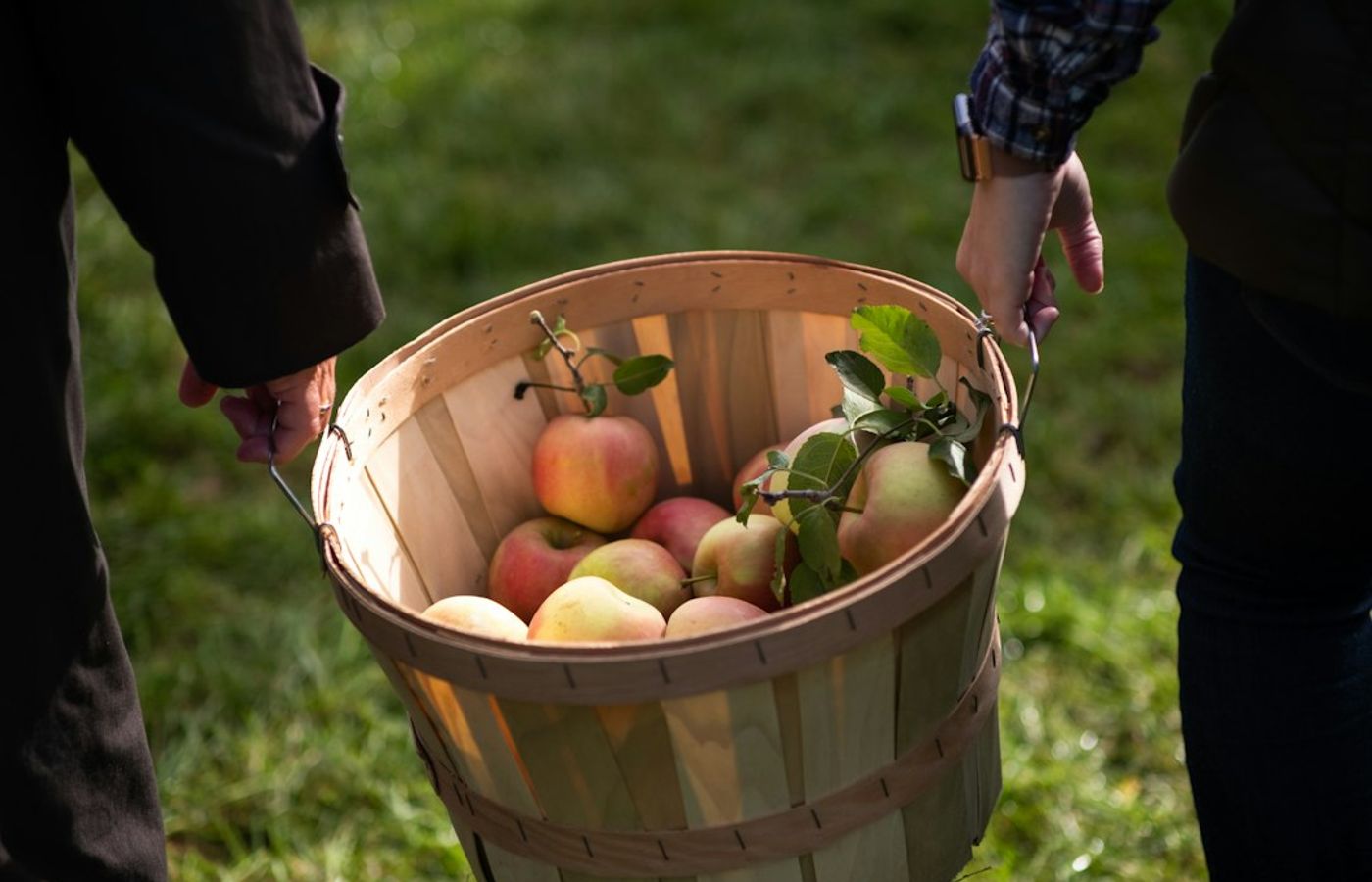 Julian - Apple Pie Season in the Mountains