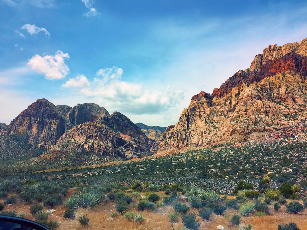 5 Best Canyon Hikes Near Las Vegas