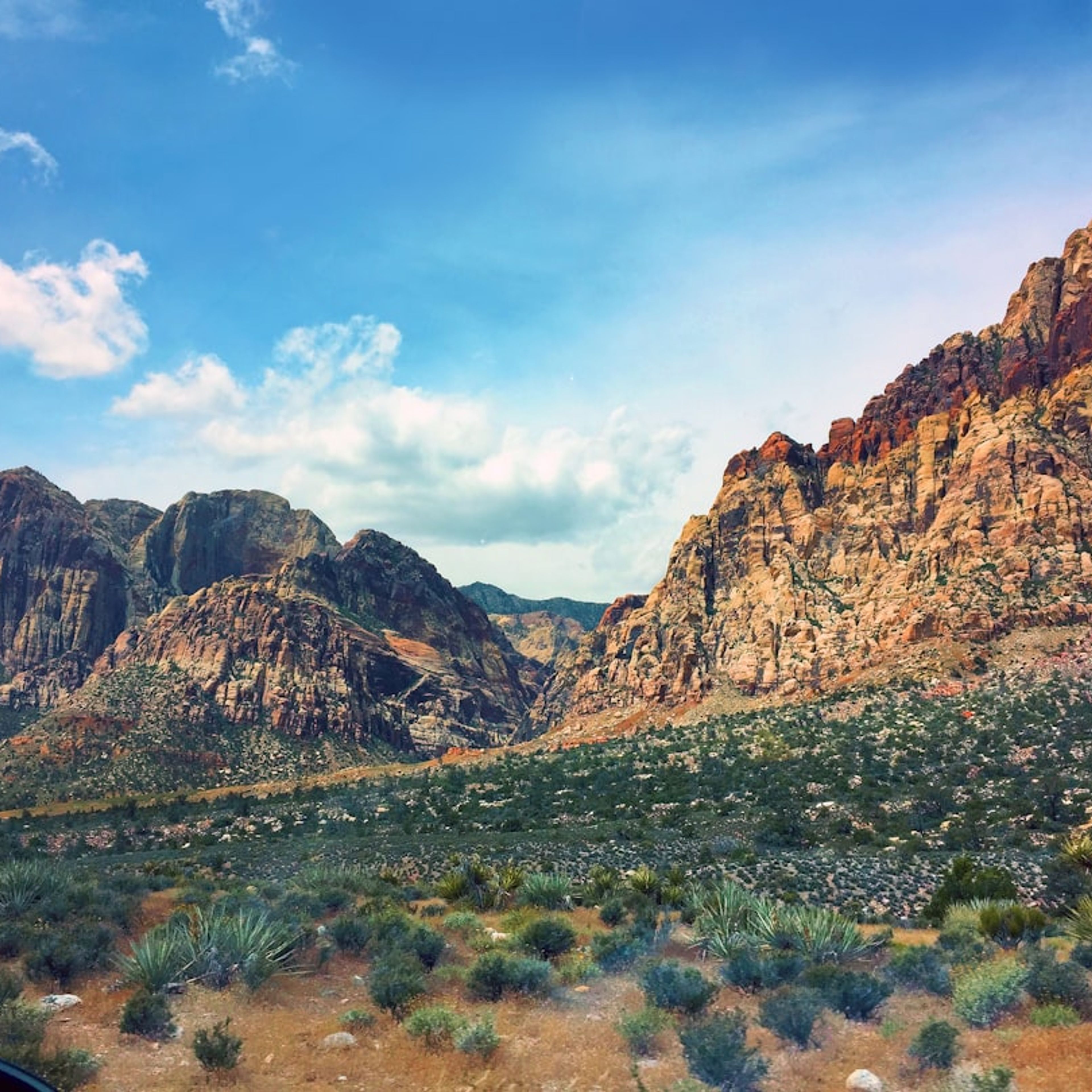 5 Best Canyon Hikes Near Las Vegas