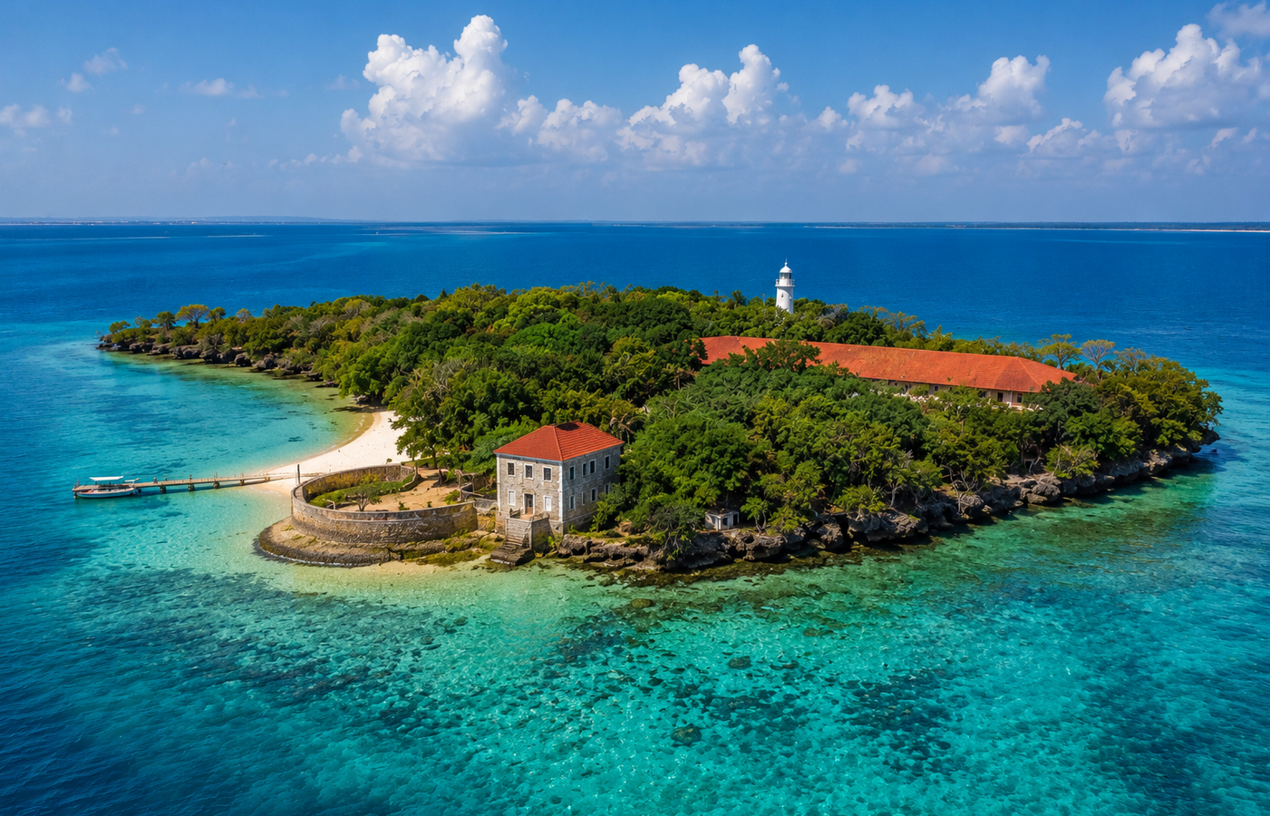 Prison Island (Changuu Island) - The Giant Tortoises