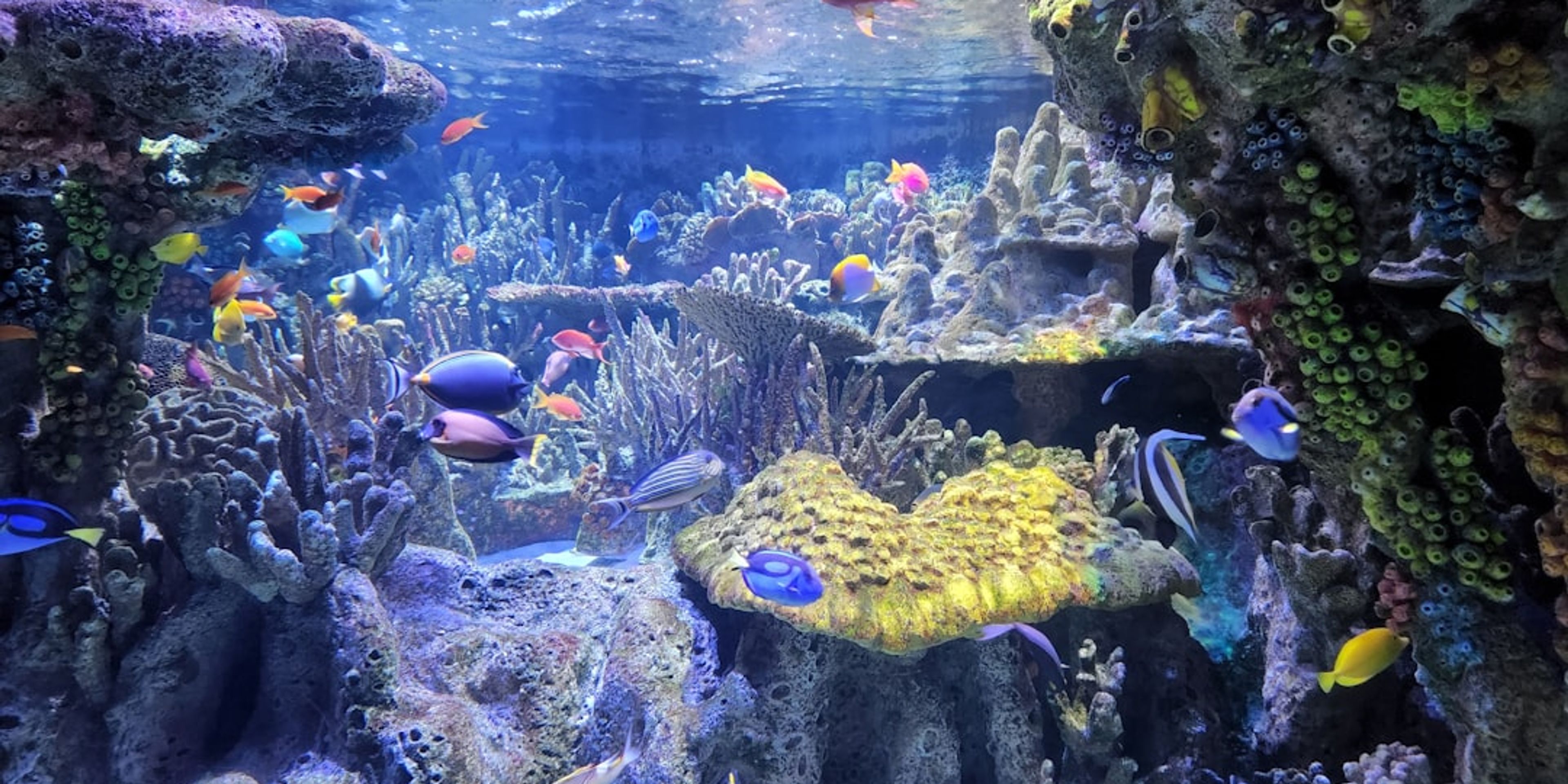 Hotels near New England Aquarium