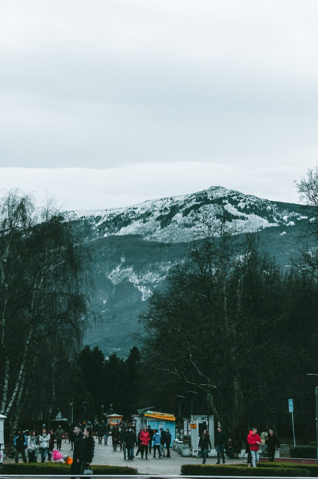 Vitosha Nature Park - Sofia's Mountain on the Doorstep