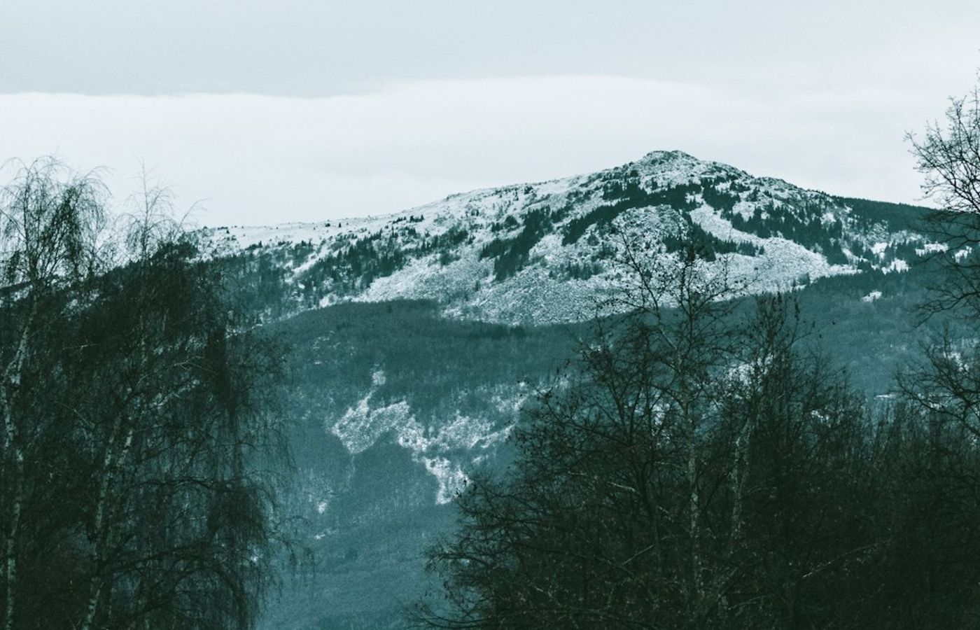 Vitosha Nature Park - Sofia's Mountain on the Doorstep