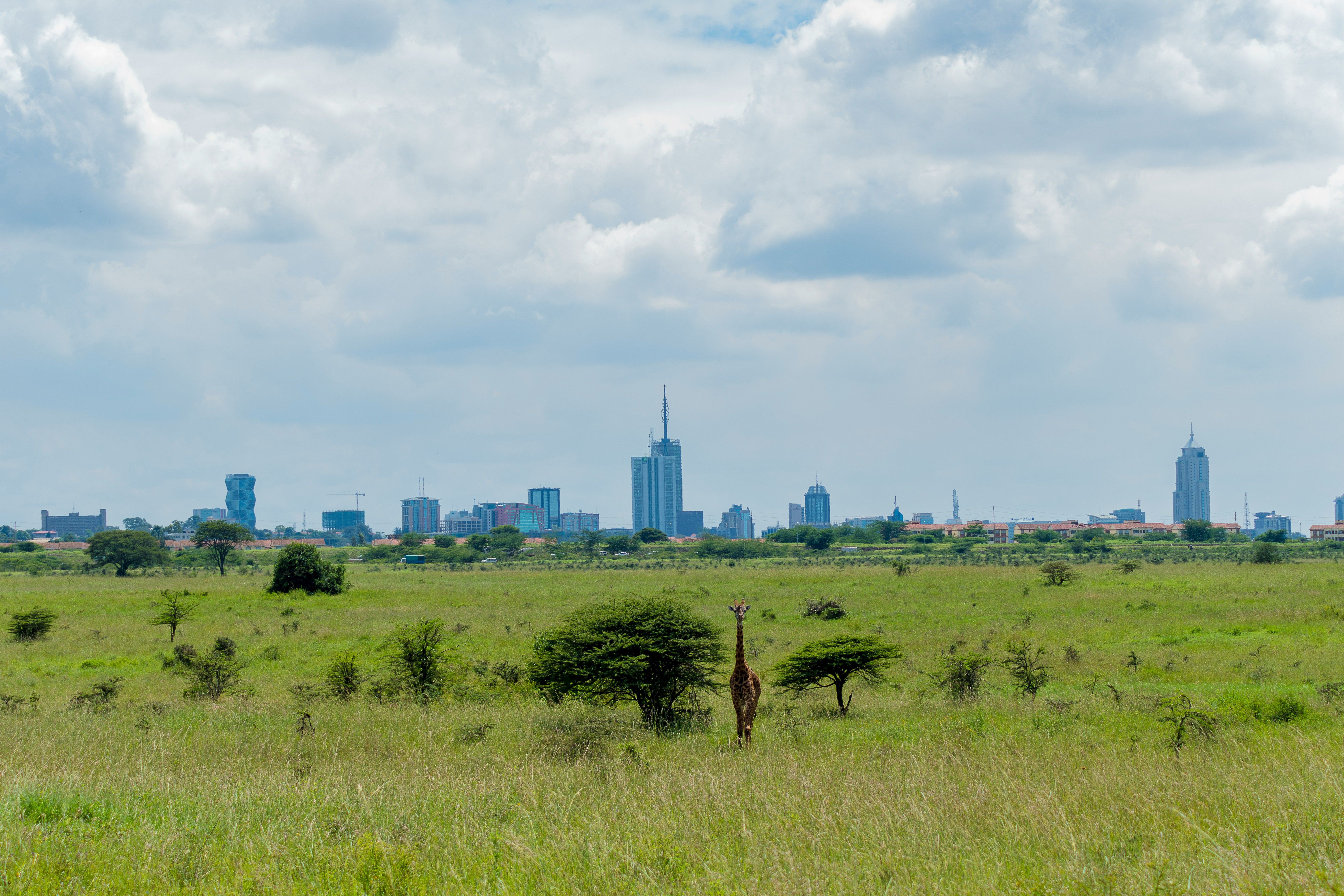 Nairobi Featured Hotels