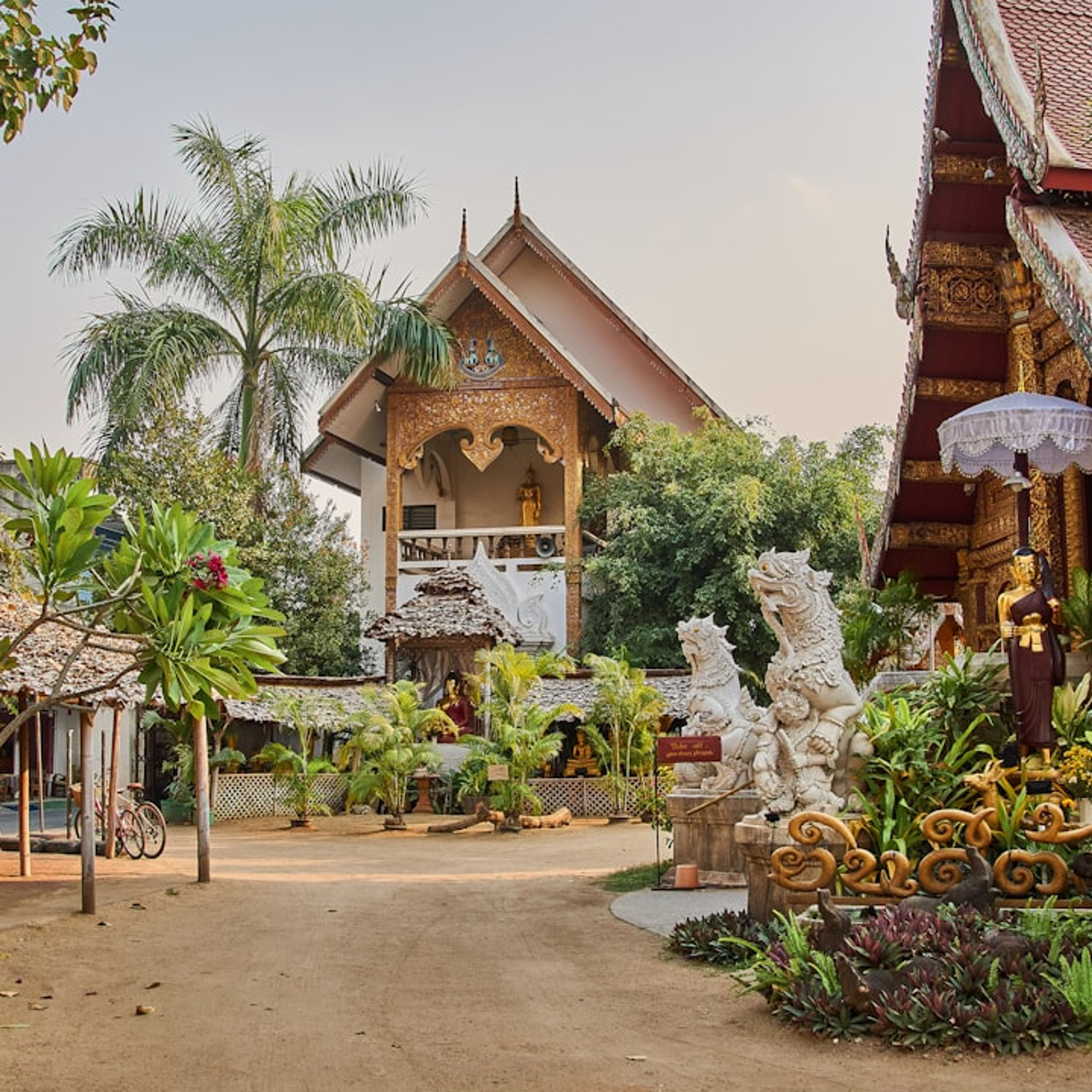 10 Top Things to Do in Chiang Mai