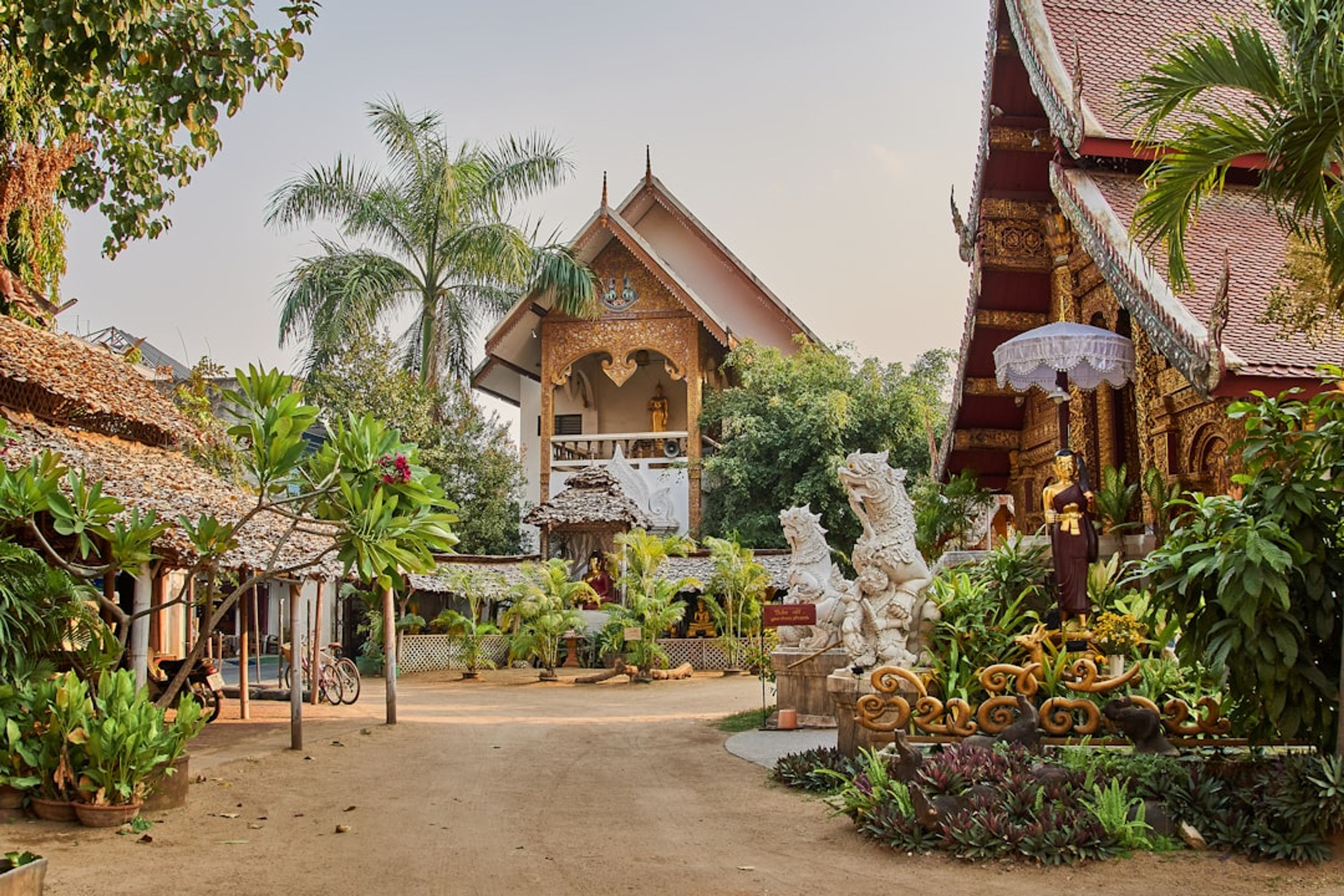 10 Top Things to Do in Chiang Mai