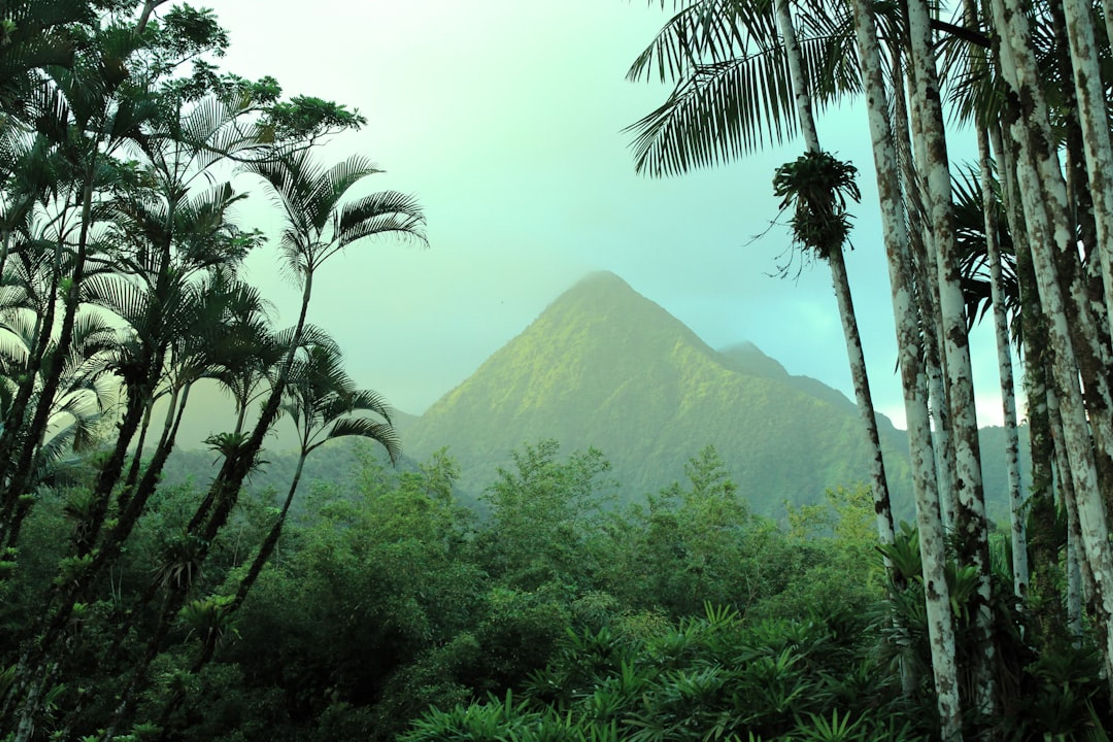 Martinique