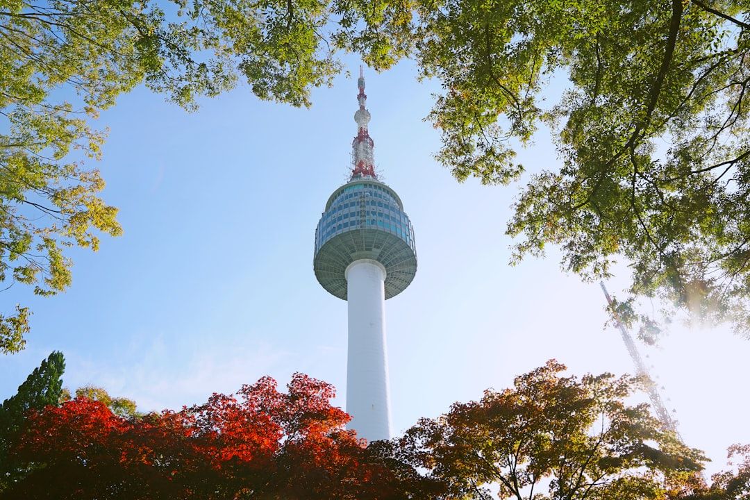N Seoul Tower (Namsan Tower) - The Iconic City View