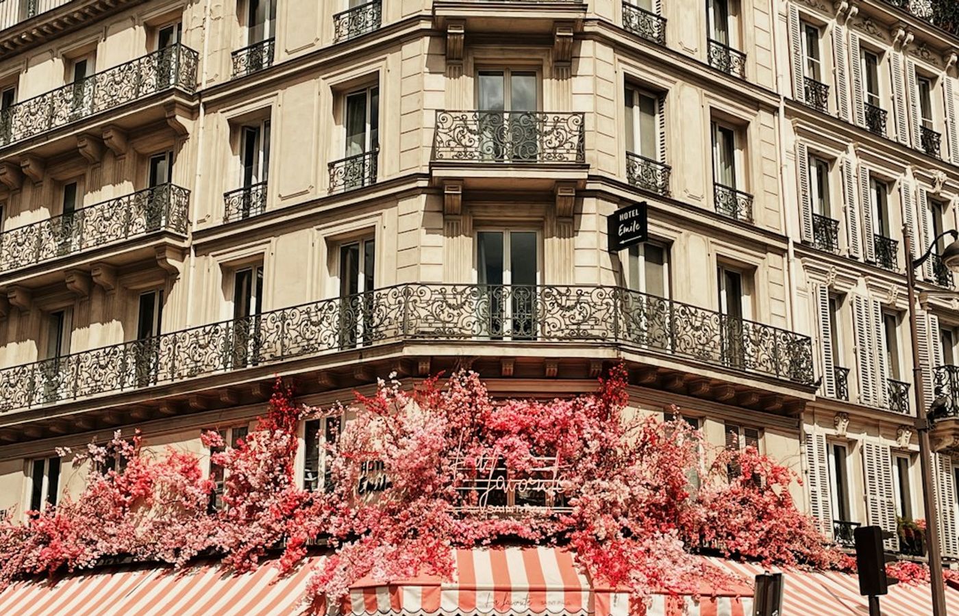 Arpège - Alain Passard's Three-Star Room, Now Almost Entirely Vegetable