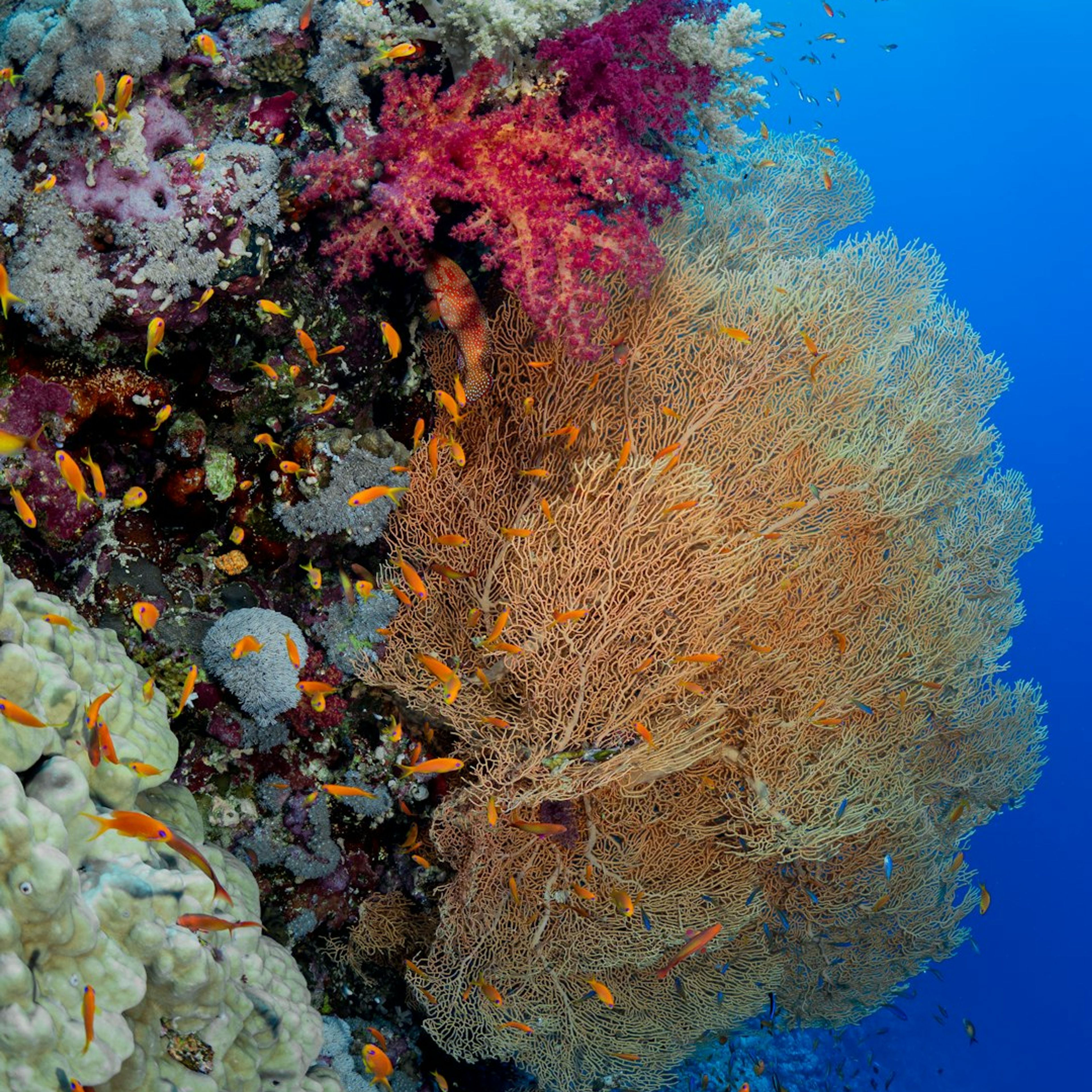 10 Top Things to Do in Marsa Alam, Egypt