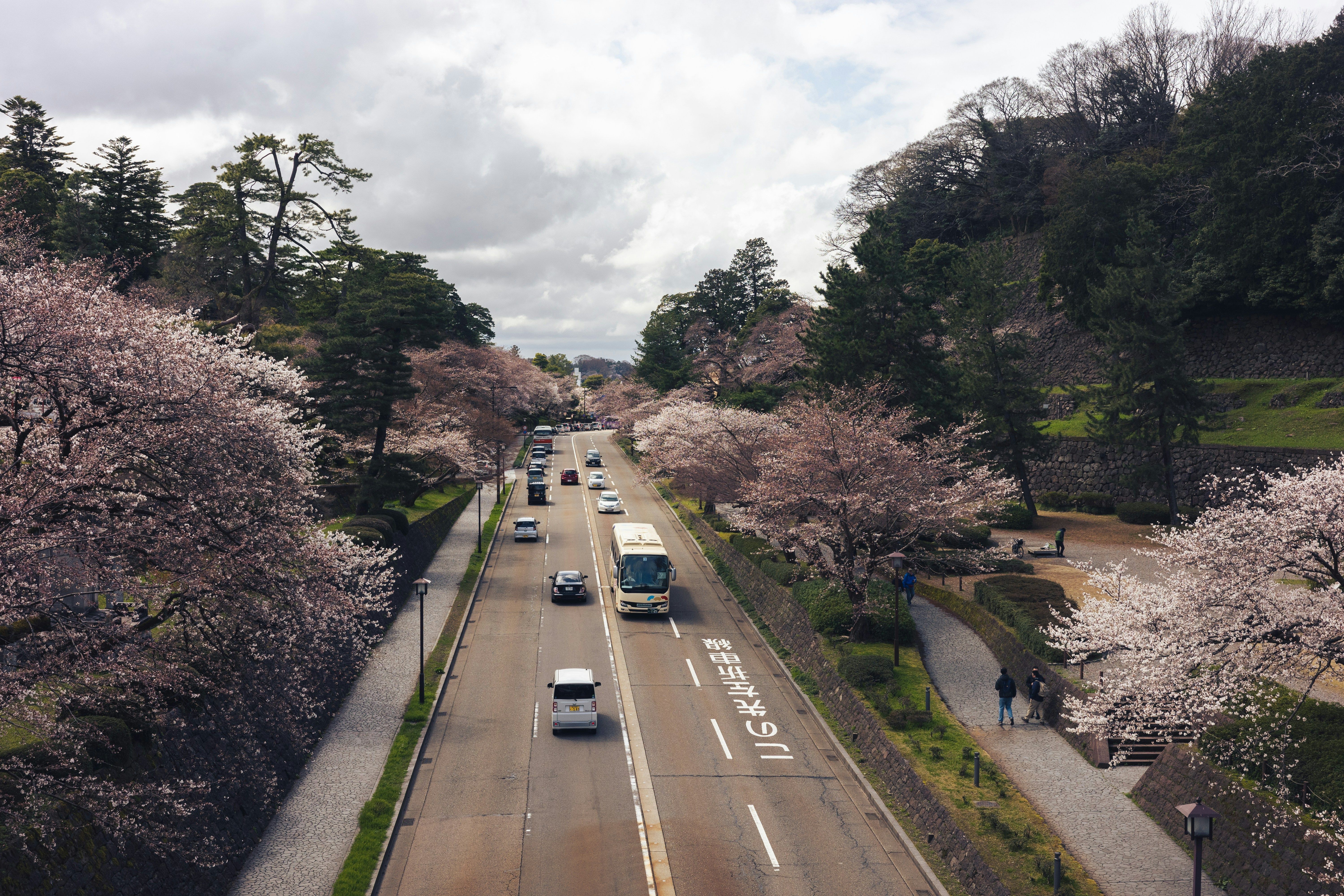 Hotels near Myoryuji Temple (Ninja-dera)