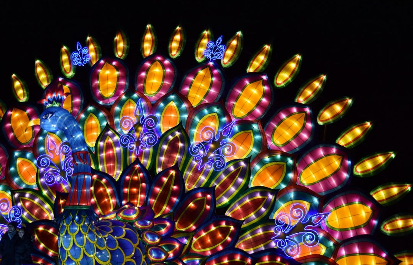 Blossoms of Light at Denver Botanic Gardens - Garden Light Trail