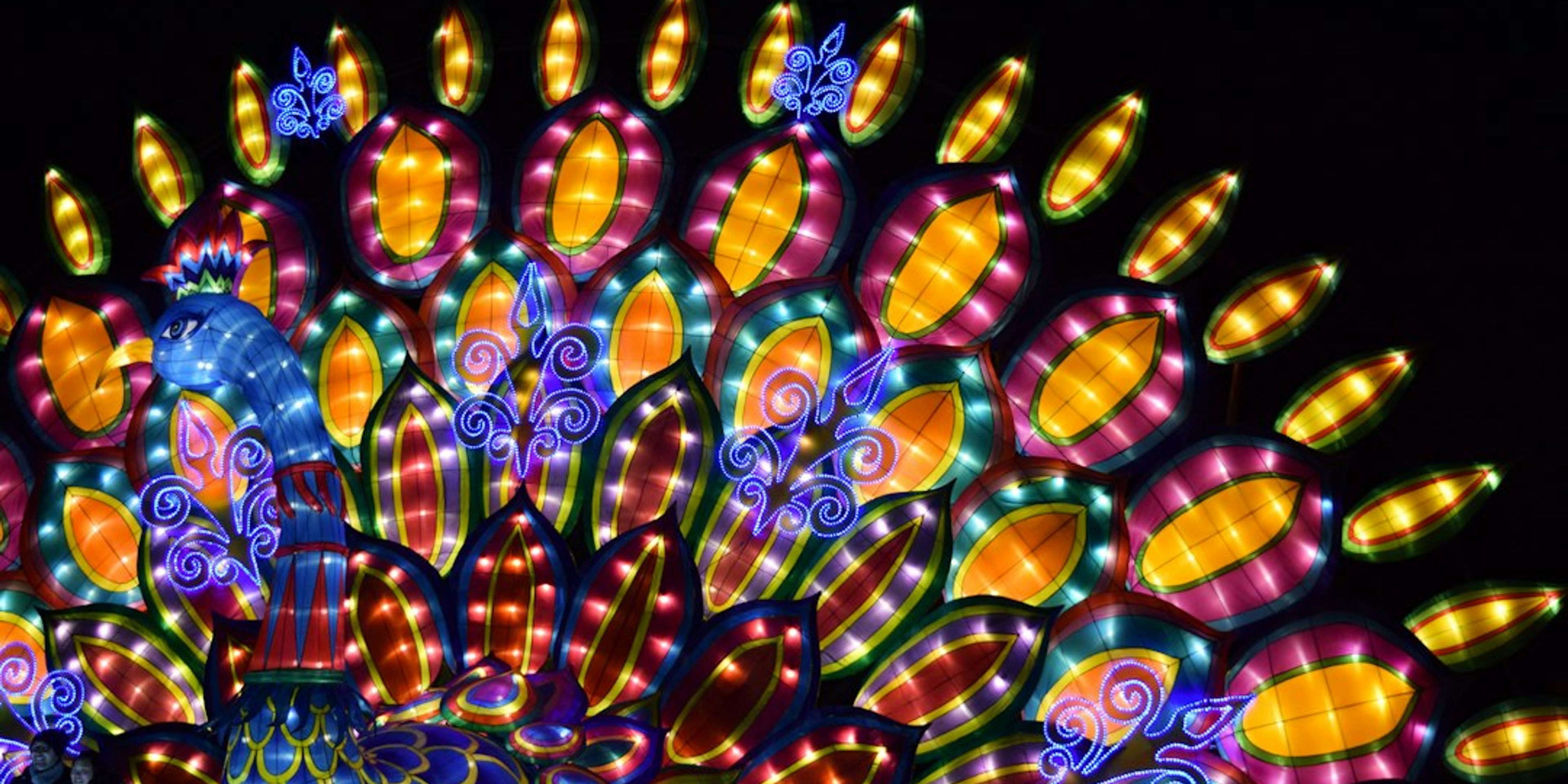 Hotels near Blossoms of Light at Denver Botanic Gardens