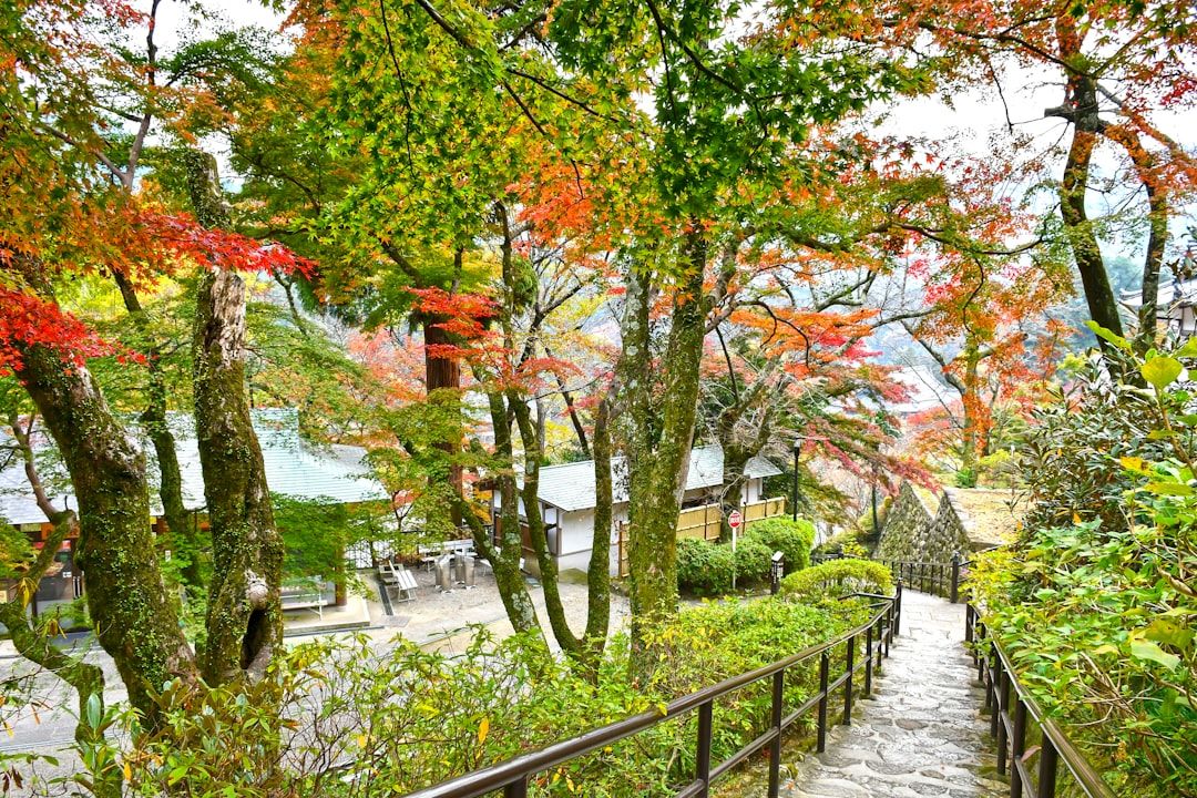 Hasedera - The Longest Autumn Window and 399 Covered Steps