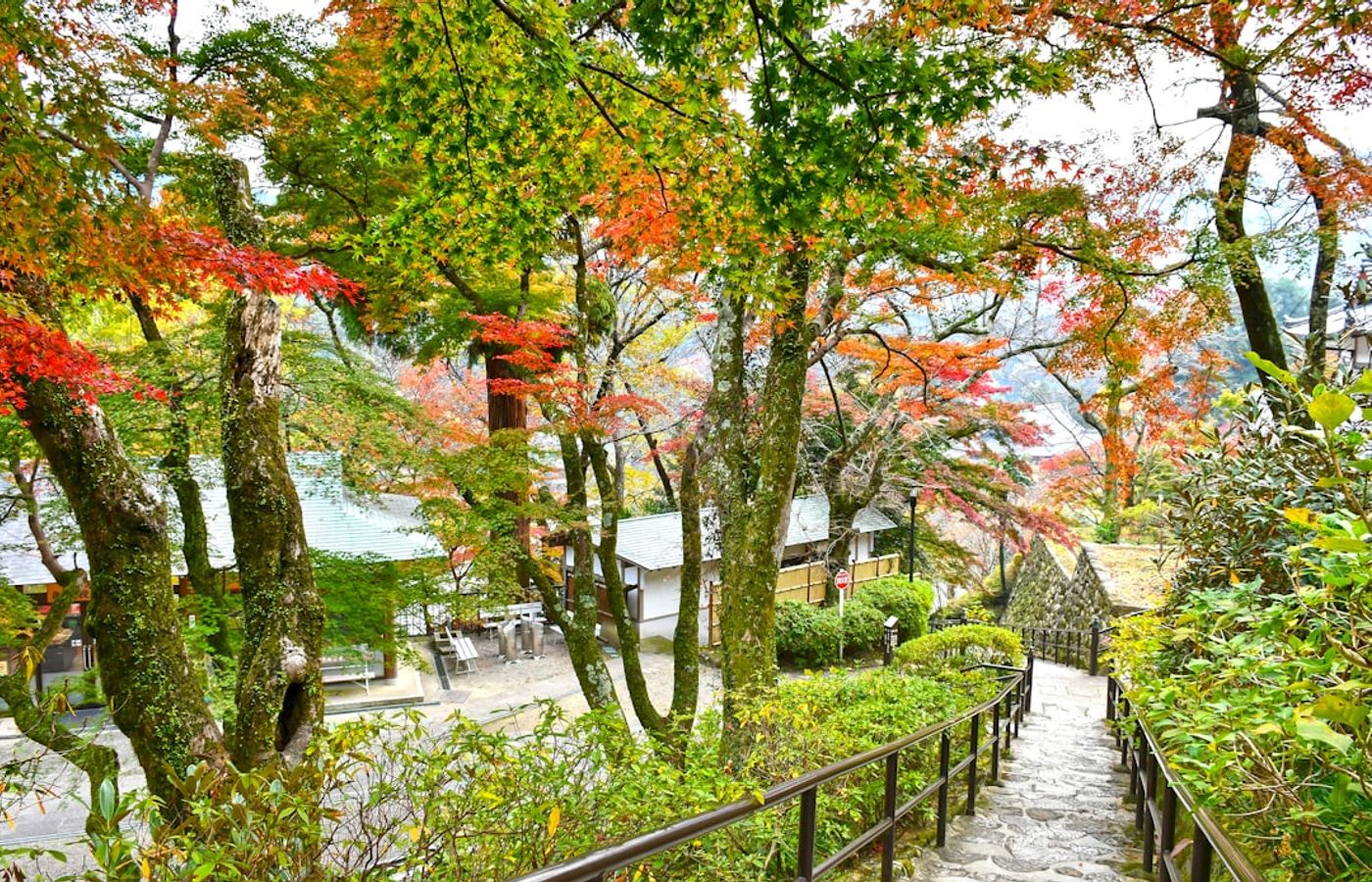 Hasedera - The Longest Autumn Window and 399 Covered Steps