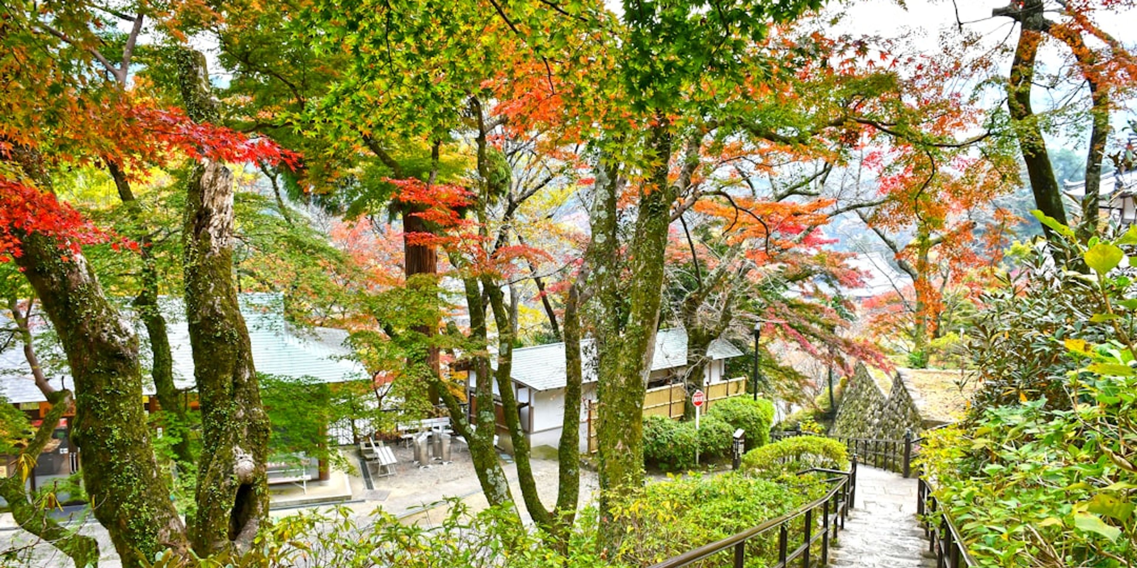 Hotels near Hasedera