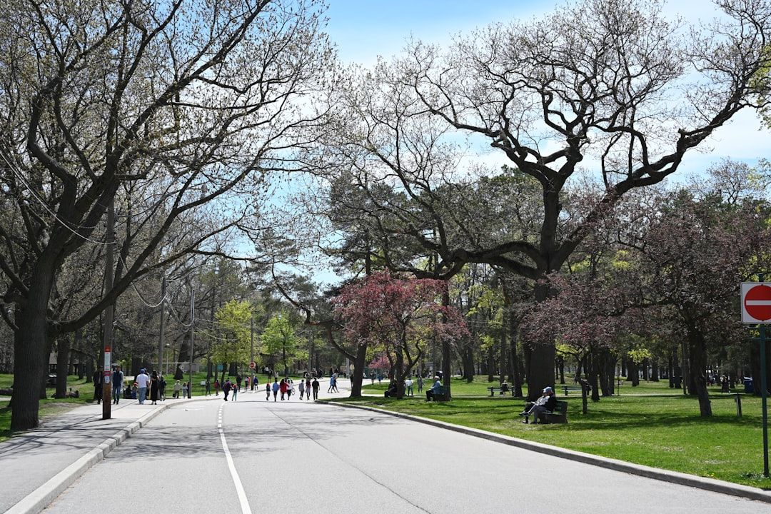 High Park - Toronto's Largest Public Park